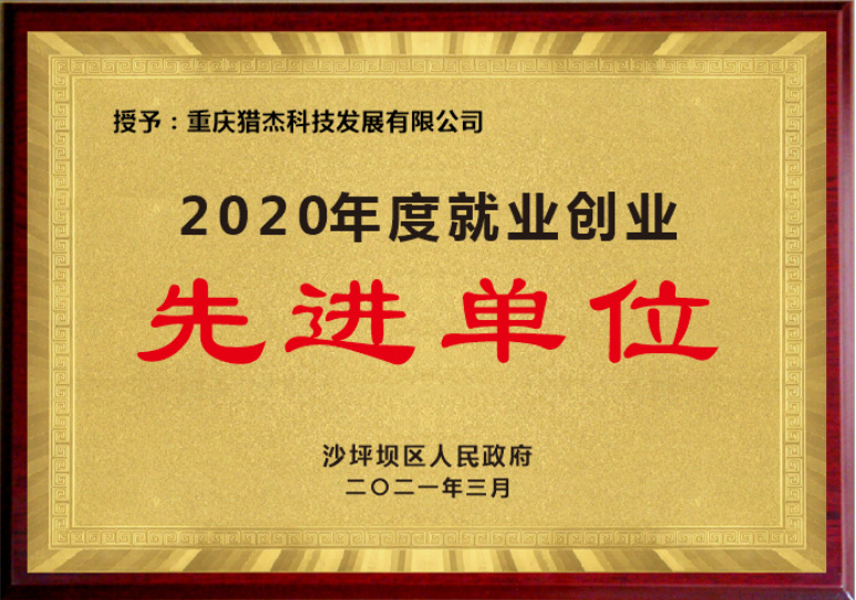 2020年度就业创业先进单位