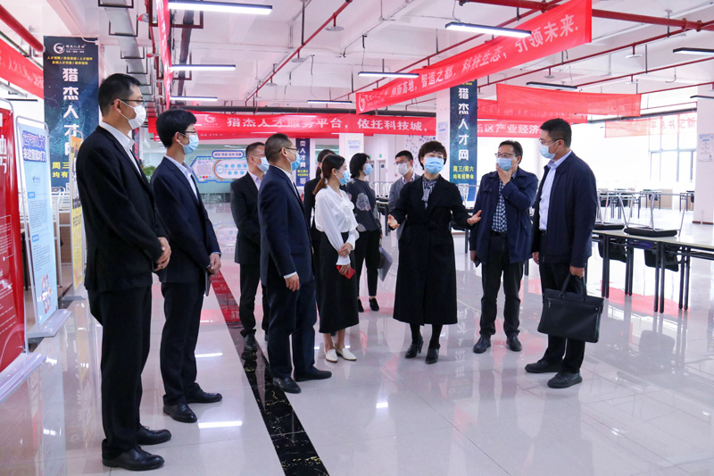 沙坪坝区委常委、区政府常务副区长陈英莅临我司调研指导